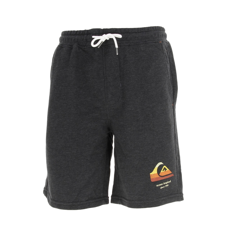 Short sport local surf gris homme - Quiksilver