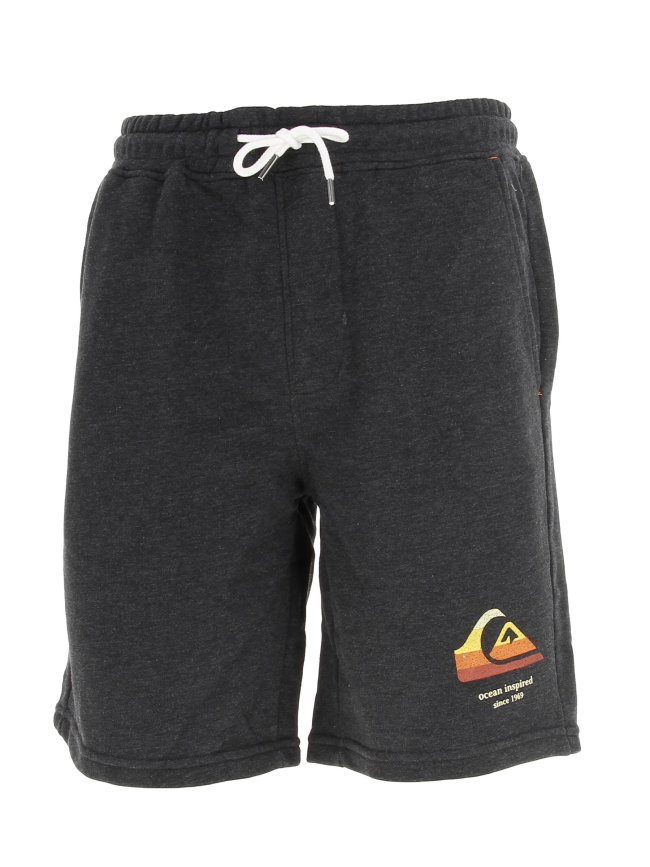 Short sport local surf gris homme - Quiksilver