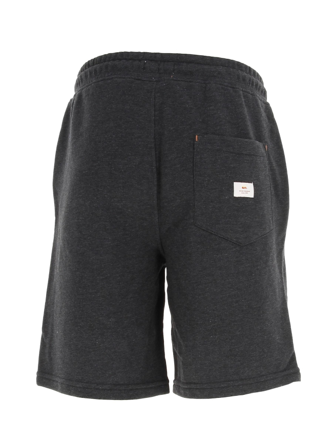 Short sport local surf gris homme - Quiksilver