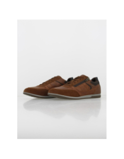 Chaussures basses renan marron homme - Geox