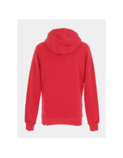 Sweat à capuche drew peak rouge homme - The North Face
