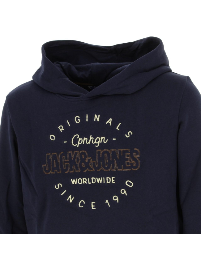 Sweat à capuche surface bleu marine garçon - Jack & Jones