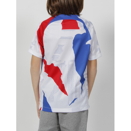 Maillot De Football France Personnalisé Avec Nom Et Numéro - Ensemble T-shirt + Short + Chaussettes - Homme Et Garçon