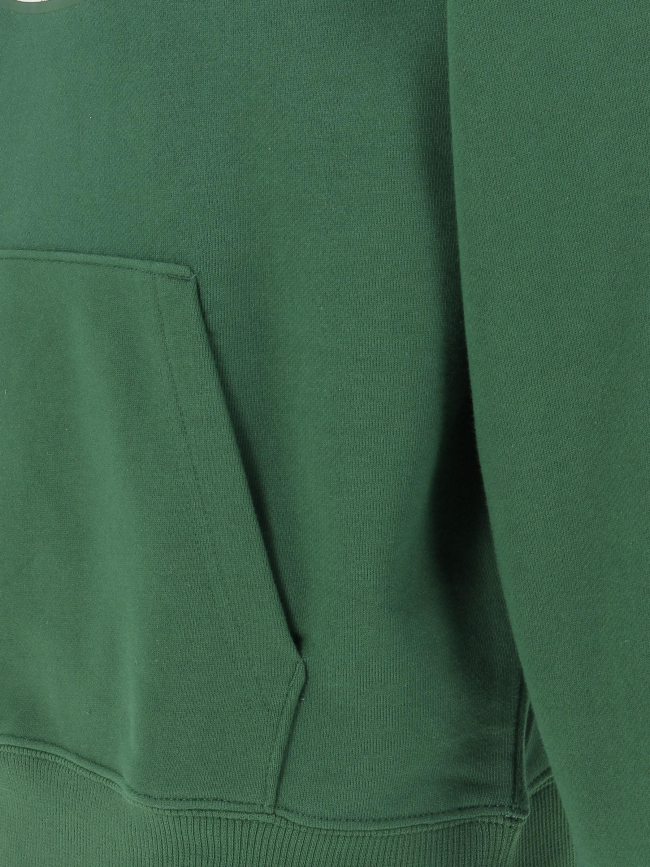 Sweat à capuche logo rond vert homme - Lacoste