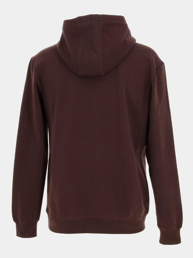 Sweat à capuche nark marron homme - Teddy Smith