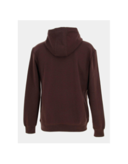 Sweat à capuche nark marron homme - Teddy Smith