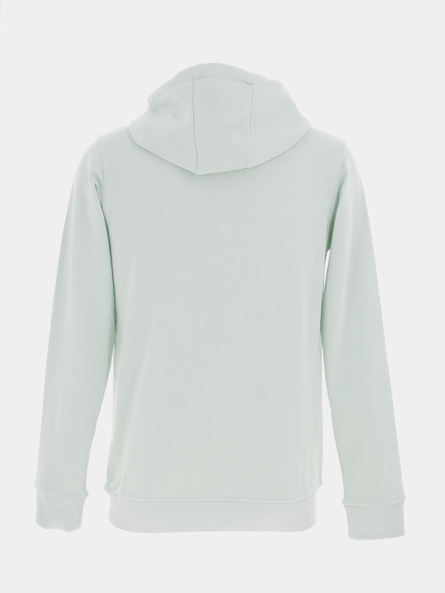 Sweat à capuche benco mint vert homme - Deeluxe