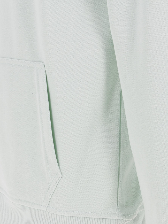 Sweat à capuche benco mint vert homme - Deeluxe