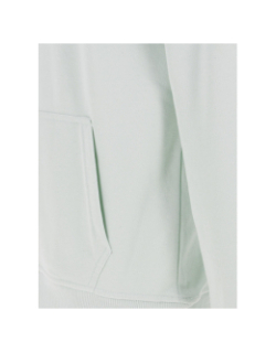 Sweat à capuche benco mint vert homme - Deeluxe