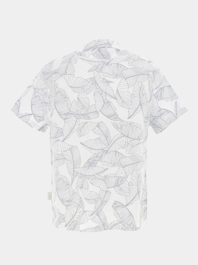 Chemise rayée à fleurs collins blanc bleu homme - Guess