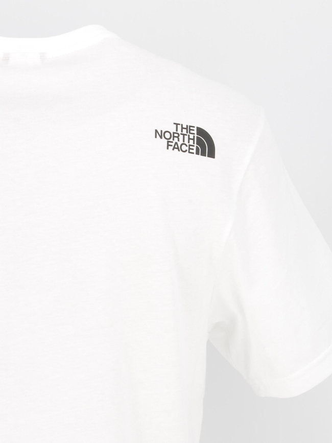 T-shirt easy logo dégradé blanc homme - The North Face