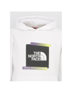 Sweat à capuche graphic blanc homme - The North Face