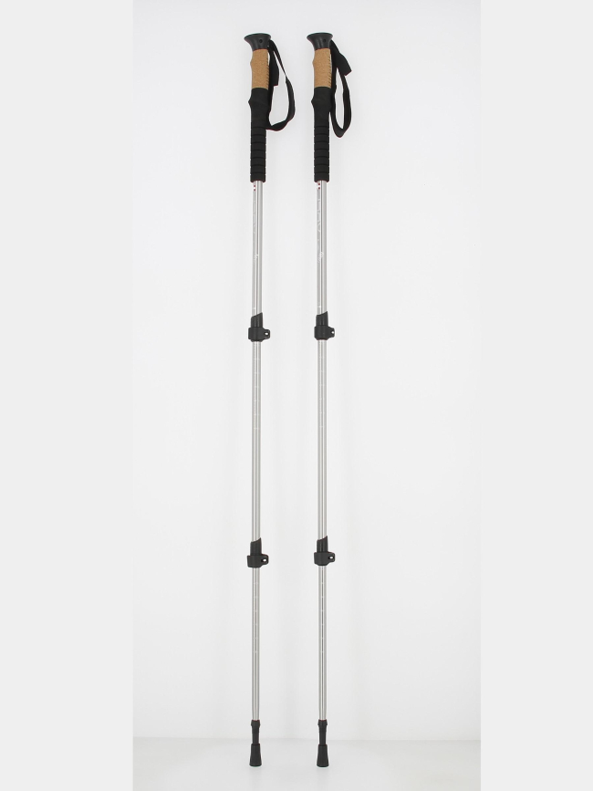 Bâtons de randonnée all mountain gris - Aulp