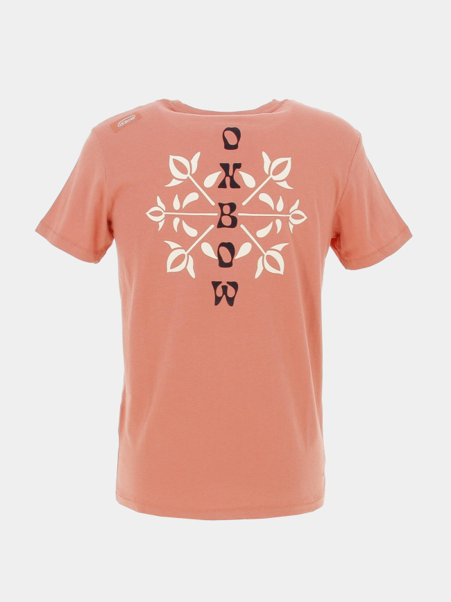 T-shirt graphique tabula rose homme - Oxbow