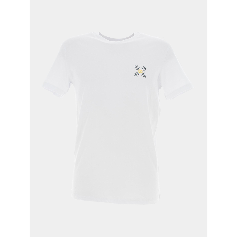 T-shirt graphique tabula blanc homme - Oxbow