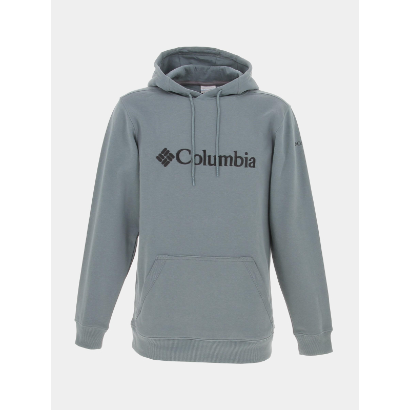 Sweat à capuche basic logo gris vert homme - Columbia