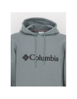 Sweat à capuche basic logo gris vert homme - Columbia