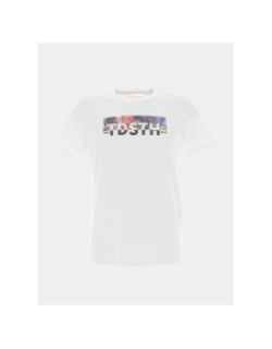T-shirt logo fleurs ezio 2 blanc homme - Teddy Smith