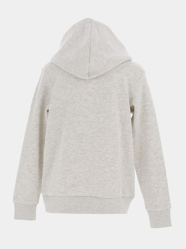 Sweat à capuche james gris enfant - Jack & Jones