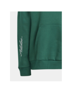 Sweat à capuche motifs brodés vert fôret femme - Adidas