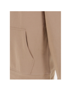 Sweat à capuche snark marron homme - Teddy Smith