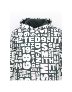 Sweat capuche barry vert enfant - Teddy Smith