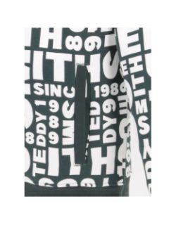 Sweat capuche barry vert enfant - Teddy Smith