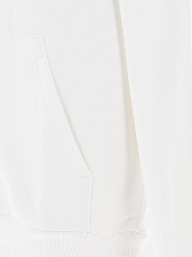 Sweat à capuche double flock logo blanc homme - Calvin Klein
