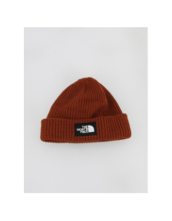 Bonnet salty dog lined marron - The North Face