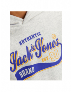 Sweat à capuche logo imprimé gris garçon - Jack & Jones