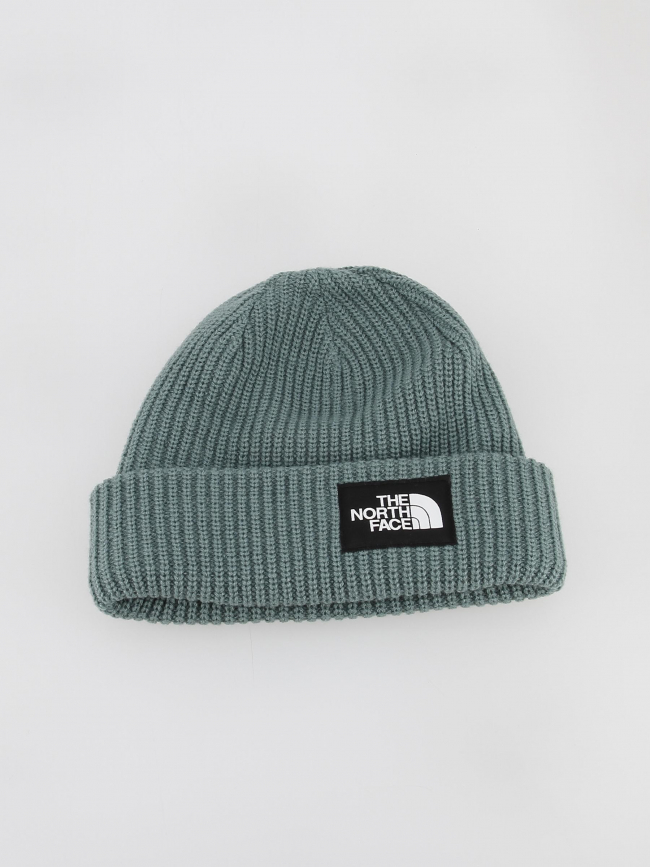 Bonnet salty dog lined vert - The North Face