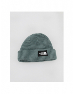 Bonnet salty dog lined vert - The North Face