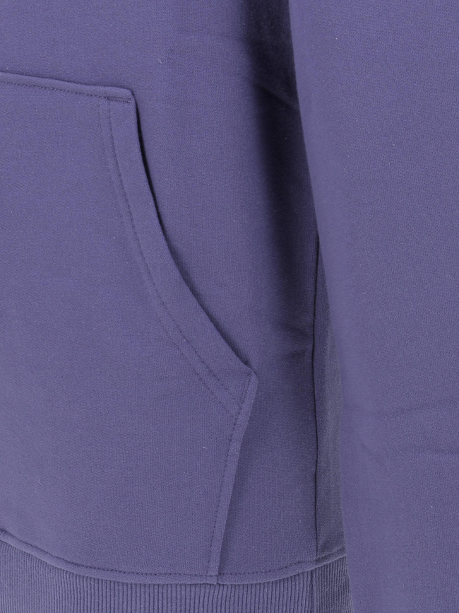 Sweat à capuche simple dome violet homme - The North Face