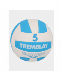Ballon de Volleyball T5 blanc/bleu - Tremblay