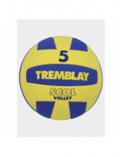 Ballon de Volleyball T5 jaune/violet - Tremblay