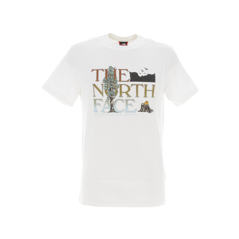 T-shirt seasonal graphic blanc homme - The North Face