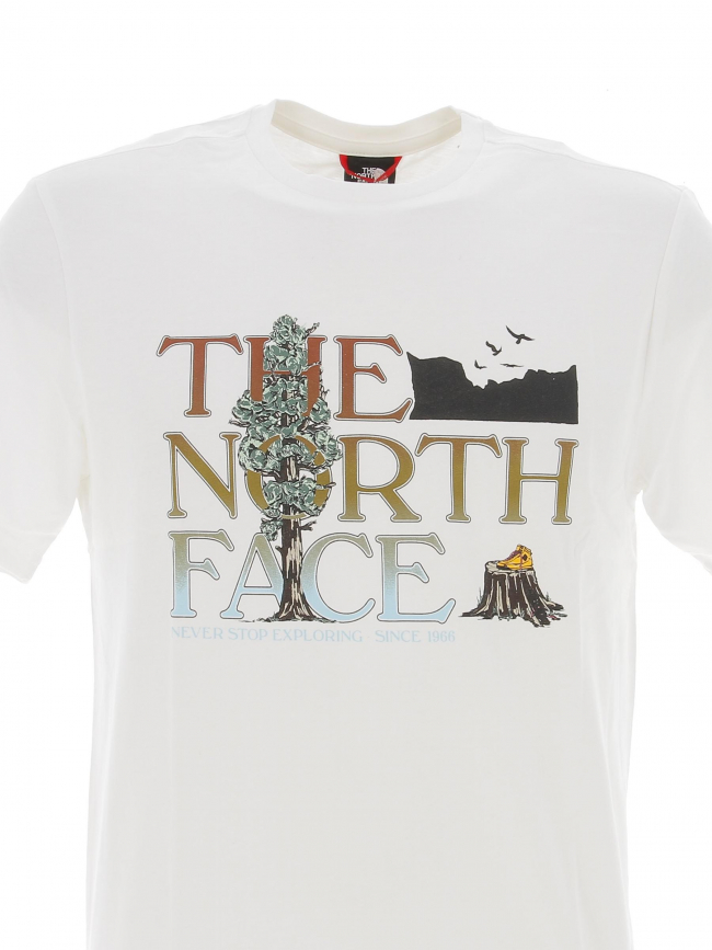 T-shirt seasonal graphic blanc homme - The North Face