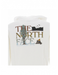 Sweat à capuche seasonal graphic blanc homme - The North Face