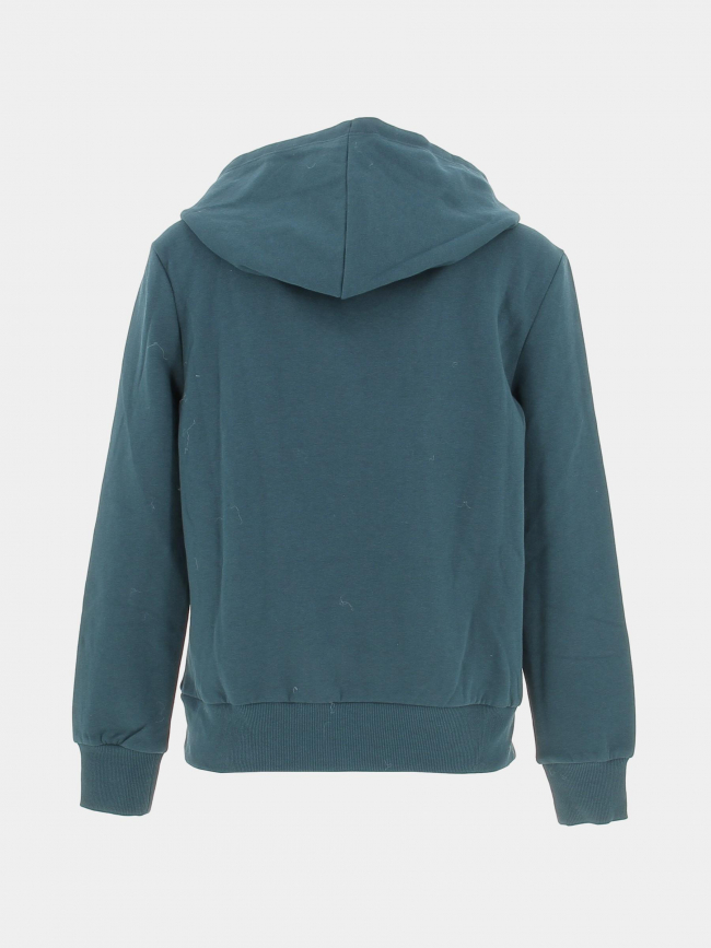 Sweat à capuche noomi logo coeur doré vert femme - Only