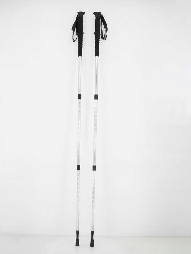 Bâtons de randonnée nature hike argenté - Guidetti