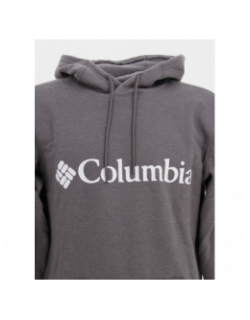 Sweat à capuche csc basic logo II anthracite - Columbia