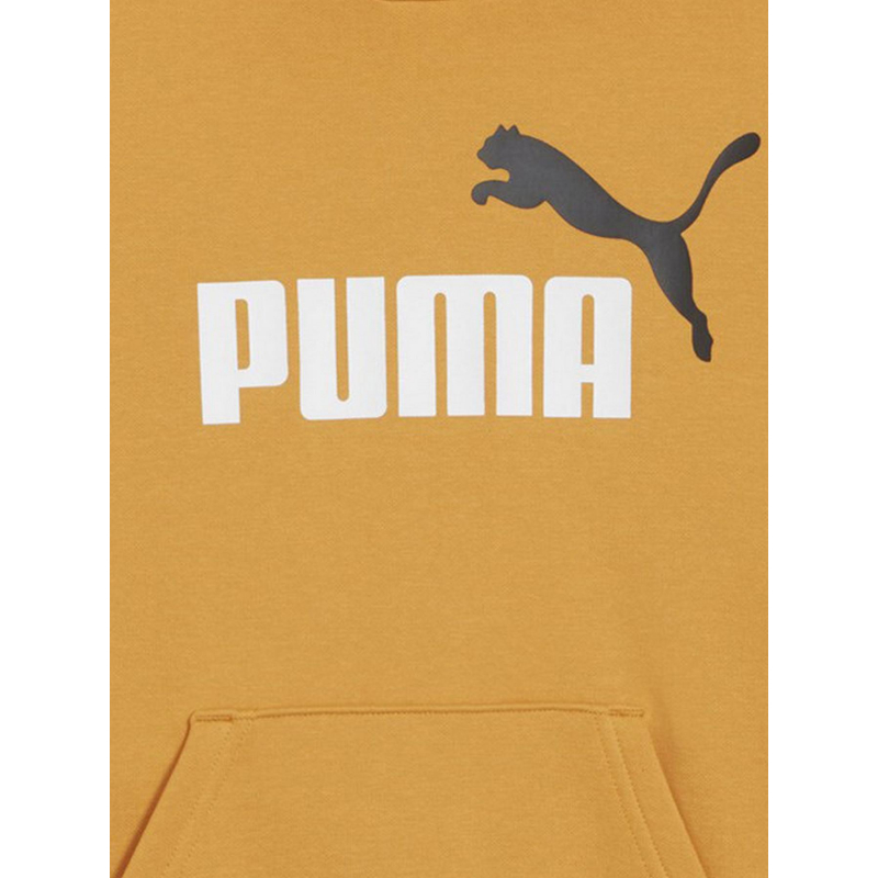 Sweat à capuche essential +2 fleece orange garçon Puma wimod