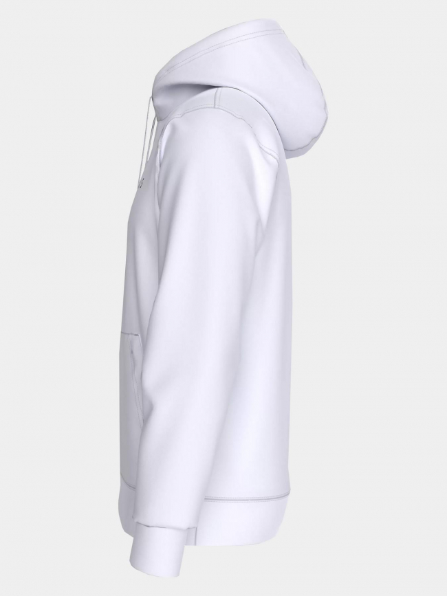 Sweat à capuche regular linear logo blanc homme - Tommy Jeans