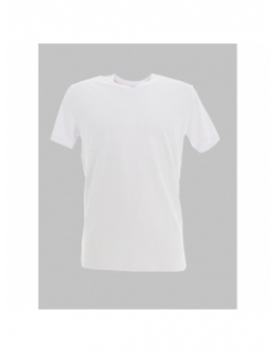 T-shirt manches courtes tawax blanc homme - Teddy Smith