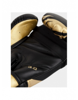 Gants de boxe challenger 3.0 noir doré - Venum