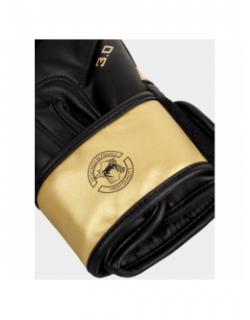 Gants de boxe challenger 3.0 noir doré - Venum