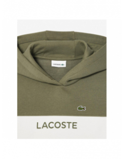 Sweat à capuche bicolore blanc kaki garçon - Lacoste