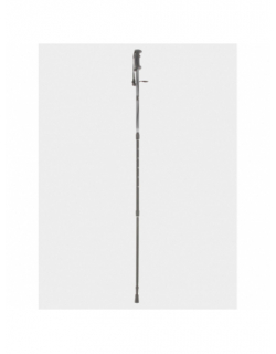 Bâton de randonnée ajustable strollers gris - Elementerre