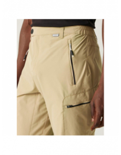 Pantalon de randonnée highton beige homme - Regatta