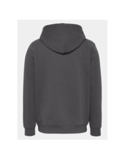 Sweat à capuche regular linear logo gris homme - Tommy Jeans